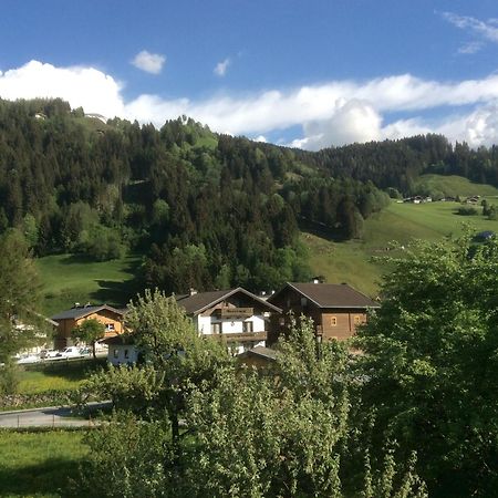 Kitzbuheler Alpen Penthouse Hollersbach Lägenhet Hollersbach im Pinzgau Exteriör bild